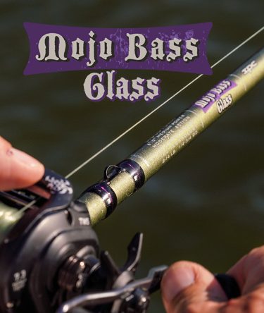 mojo-bass-glass-1