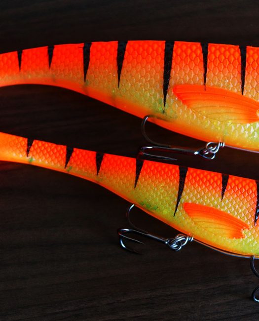 BABY SHAD FIRE TIGER ORANGE